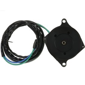 AS-PL Elektromotor DC9136S