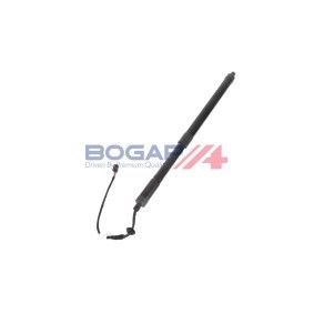 BOGAP Vannsirkulasjonspumpe E4243118