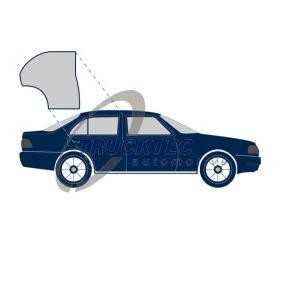 TRUCKTEC AUTOMOTIVE Deurafdichting 02.53.052