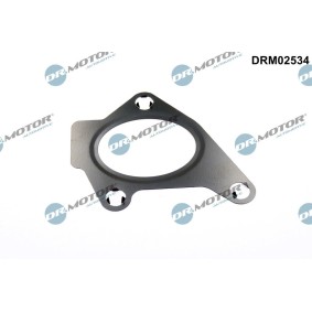 DR.MOTOR AUTOMOTIVE Joint de collecteur d'admission DRM02534