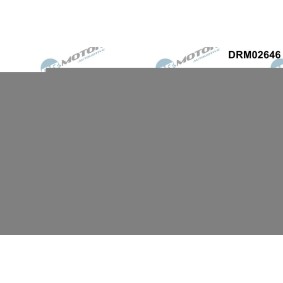 DR.MOTOR AUTOMOTIVE Dichtung, Wasserpumpe DRM02646