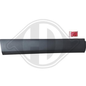 DIEDERICHS Friso, porta 5621421