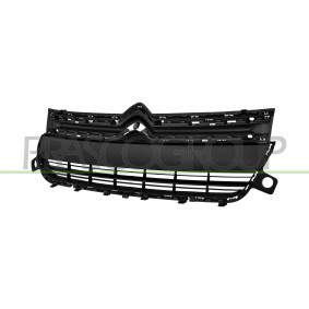 PRASCO Radiatorgitter CI9222001