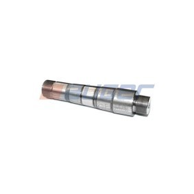 AUGER Pivote del muñón del eje 60290
