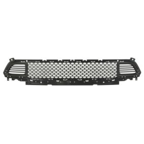 BLIC Ventilatiegrille, bumper 6502-07-3208913P