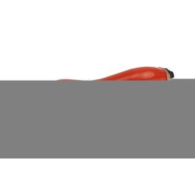 FAST Gaine de suralimentation FT01183