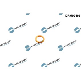 DR.MOTOR AUTOMOTIVE Anillo de junta, tapón roscado de vaciado de aceite DRM02405