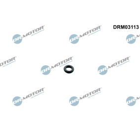 Spletna trgovina z DR.MOTOR AUTOMOTIVE Tesnilni obroc, ventil za vbrizgavanje DRM03113
