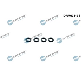 DR.MOTOR AUTOMOTIVE Joint d'injecteur DRM03113S