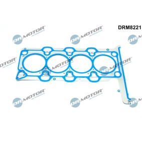 DR.MOTOR AUTOMOTIVE Tiiviste, sylinterikansi DRM8221