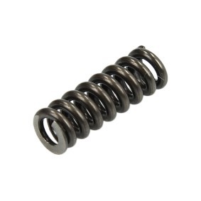 Купить BOSCH Пружина F 00R J00 236