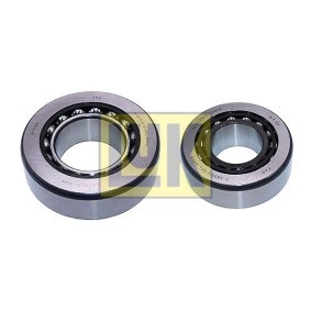 LuK Repair Kit, differential 462 5004 70