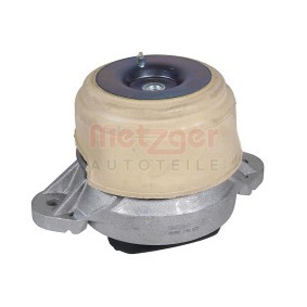 Spletna trgovina z METZGER Vlezajenje, motor 8054491