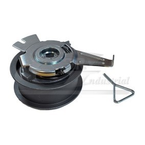 3RG Spanrol, distributieriem 13752