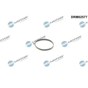 DR.MOTOR AUTOMOTIVE Junta, boquilla de válvula de mariposa DRM02577