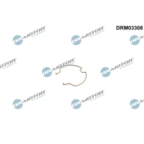 DR.MOTOR AUTOMOTIVE Bride de fixation, gaine de suralimentation DRM03308