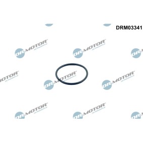 DR.MOTOR AUTOMOTIVE Dichtung, Thermostat DRM03341