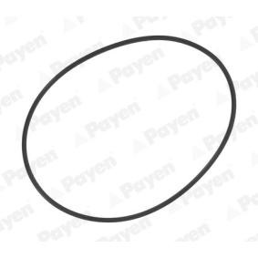 PAYEN Tetningsringsett, sylinderhylse PA709