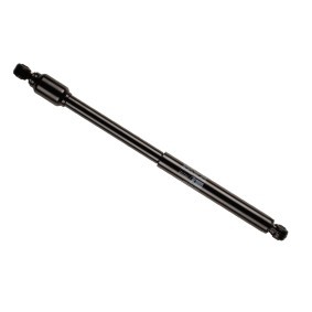 Купить BILSTEIN Амортизатор рулевого управления 18-002461