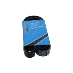 MAPCO Correa trapecial poli V 261295