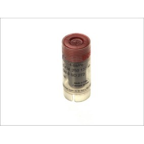 BOSCH Corpo de injector 0 434 250 137