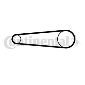 CONTITECH Hammashihnat CT1158