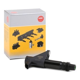 NGK Tennspole 48031