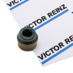 REINZ Klepseals 70-26058-00