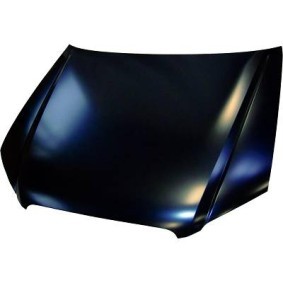 DIEDERICHS Motorhaube 1017100