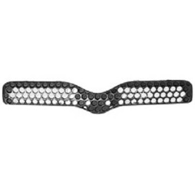 DIEDERICHS Rejilla delantera 6605040