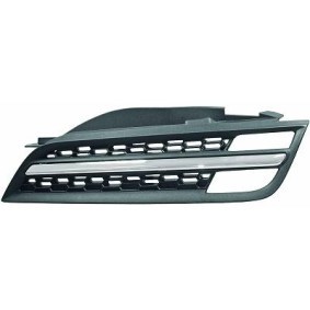 DIEDERICHS Radiator grill 6024243