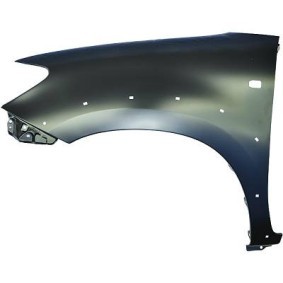 6684807 DIEDERICHS Wing panel for TOYOTA RUSH