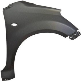 DIEDERICHS Wing fender 6466007