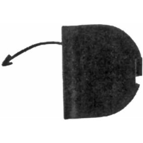 DIEDERICHS Flap, tow hook 3453262