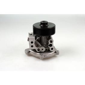 HEPU Vannpumpe P259