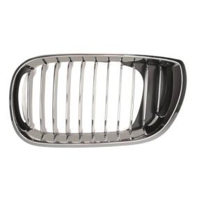 BLIC Grille de calandre 6502-07-0061991PP