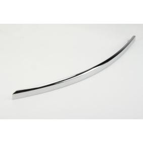 BLIC Bandeau pare-choc 5703-05-0031921P