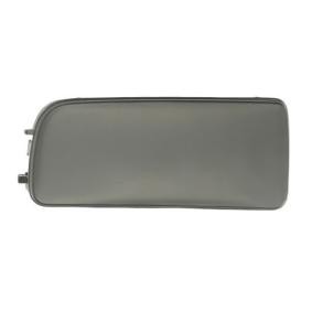 BLIC Grille de ventilation, pare-chocs 5513-00-0060925P