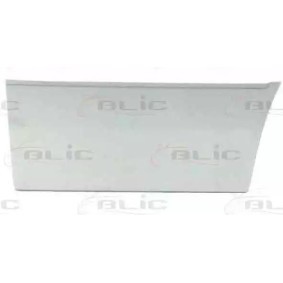 BLIC Tür, Karosserie 6015-00-3546122P