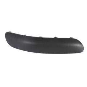 BLIC Bumper moulding 6502-07-0519924P