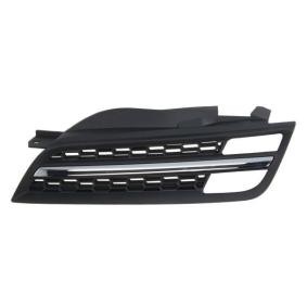 BLIC Radiator grill 6502-07-1609993P