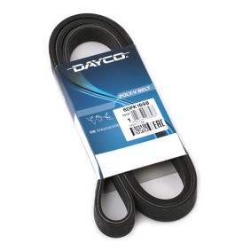 DAYCO Cinghia servizi 6DPK1698