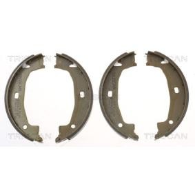 TRISCAN Brake Shoe Set 8100 11011