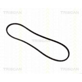 TRISCAN V-Belt 8640 100788