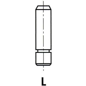IPSA Guide de soupape VG059100