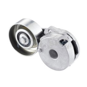 SNR Spannrolle, Keilrippenriemen GA355.25