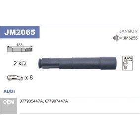 JANMOR Fiche, bobine d'allumage JM2065