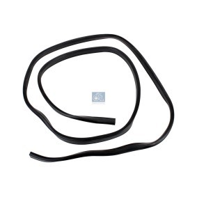 DT Spare Parts Zier- / Schutzleiste, Seitenscheibe 4.80199
