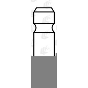 AE Uitlaatklep V98015