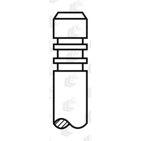 AE Inlet valve V98052